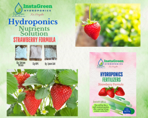 Hydroponics Nutrients Solution for Lettuce Tomato Strawberry 12 sets
