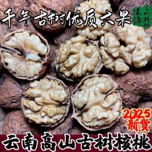 New 2025 Stock Yunnan Yangbi Paper Skin Walnut Mature Dry Walnut Thin Shell Ancient Tree Origin Direct Shipping Snack Nuts