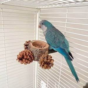 🇸🇬 Bird Perch Feeder with Pine Corn Wooden Perch: Parrot Feeding Bowls