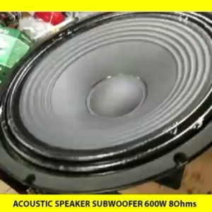 15 INCHES HIGH POWER ACOUSTIC SUBWOOFER SPEAKER