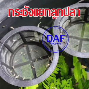กระชังลูกปลาแรกเกิด ตาข่ายลูกปลา คัดแยกปลา อนุบาลลูกปลา เลี้ยงปลา อุปกรณ์ตู้ปลา อุปกรณ์เพาะพันธุ์ปลา
