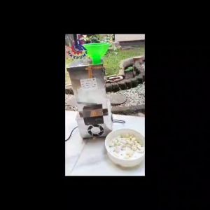 MAXPUMP Mesin Pengupas Kulit Bawang Putih Mesin Makanan Mengupas Bawang 220v