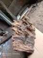 kayu rentek aquascape size S. 