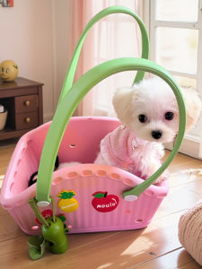 Portable Lightweight Dog Backpack Handheld Single Shoulder Bag for Bichon Maltese York Summer Pet Travel Accessories