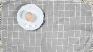 SG【READY STOCK】Mini Electric Waffle Portable Machine Egg Cake Pan Eggette MachineMultifunctional Household 华夫饼机