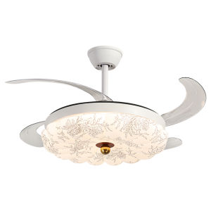 DGY | Invisible Aesthetic Fan Light Ceiling Fan