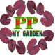 PP my garden