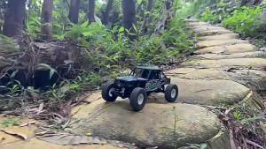 LDRC LD18499 1:18 4WD RC Off-Road Car Rock Crawler Climbing Vehicle 2.4G Remote Control Scale Model Toy Gift for Boys Adults