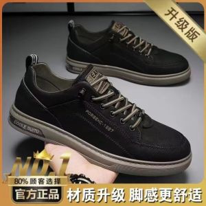 Putian Mens Shoes 2025 New Summer Mesh Breathable Versatile Casual Youth Thick Bottom Dad Sports Trendy Shoes Comfortable Slip-On
