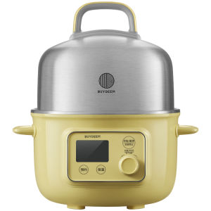 Automatic Programmable Home Electric Steamer/Electric Cooker