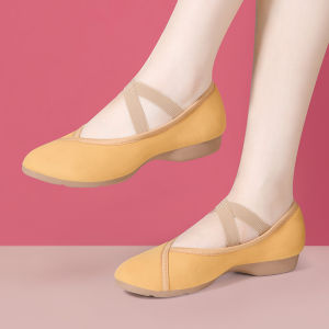 HANGONGZHU | Dance Shoes for Posture Training and Performance Soft Lightweight Heeled