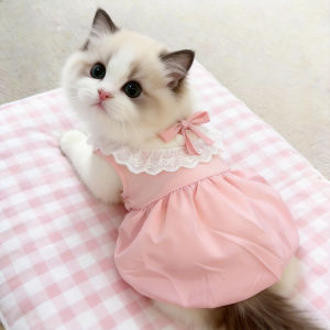 Petone dOrage | Spring Summer Lace Trim Princess Dress Anti-Shedding Thin Clothes