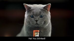 Sheba Melty Creamy Cat Treat Puree Lickable Liquid Cat Snack 48G 12GX4X12 (1 Outer)