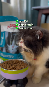 Arion Original Sterilized 33/12 Chicken Cat Dry Food 2KG