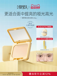 Matte Highlighting Powder 6.6g Natural Brightening Fine Texture Easy to Use for All Skin Types Chinese Manufacturer