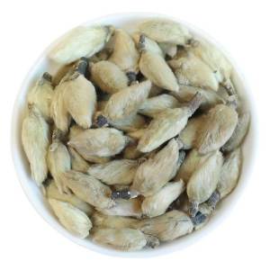Magnolia Liliflora Spice 500g
