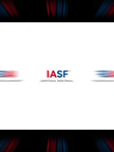 IASF Solid Brass Golden Single Hole Flat Circular Pull Handle European Door Handle Modern Minimalist Cabinet Pull Handle Wardrobe Drawer Handle