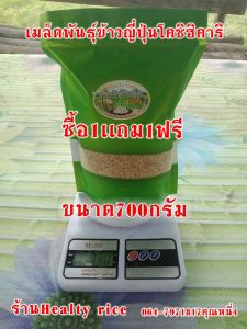 เมล็ดพันธุ์ข้าวญี่ปุ่นโคชิฮิคาริเเท้100%ปลูกที่สกลนครปลูกได้ทั้งนาปลังเเละนาปีอายุเก็บเกี่ยว120วันพันธ์ุข้าวญี่ปุ่นโคชิฮิคาริเกรดAทนโรคสูงดูเเลง่ายเป็นพืชเศรฐกิจขายได้ราคาดี