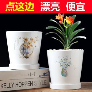Flower Pot Ceramic Large Clearance Special Offer with Tray Creative Personal Influencer Chlorophytum Green Plant Succulent Small Flower Pot