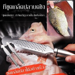 แปรงขูดเกล็ดปลาแบบขิงพร้อมหนังปลา เครื่องมือขูดเกล็ดปลาแบบใช้มือ สเตนเลสสตีล 磨姜鱼鳞刨