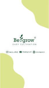 Be Grow Hydroponic Rockwool | Media Tanam Hidroponik BeGrow 1/4 Slab 25x15x7.5 cm