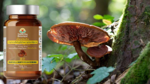 SANUSq Health เห็ดหลินจือ 300 มิลลิกรัม x 120 แคปซูลพืช