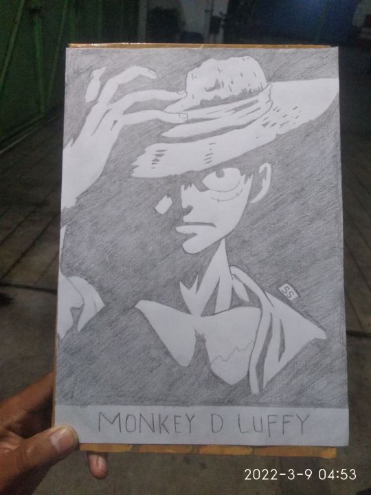 Monkey D. Luffy in Different Cartoon and Anime Shows : r/OnePiece-demhanvico.com.vn