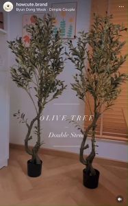 [120พร้อมส่ง/อื่นๆPRE14วัน]🫒🍃OLIVE TREE (รุ่น2ลำต้น) ต้นโอลีฟ ต้นมะกอกปลอม งานคุณภาพดีเหมือนจริง มินิมอลมาก ช่วยเสริมความปัง HOT/NEW