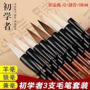 Beginner Friendly Calligraphy and Painting Brush
