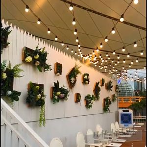 G50 WAETHERPROOF BULB LIGHT BALL BULB LED STRING FAIRY LIGHT WARM WHITE 3METER 10LEDS 小球装饰灯LAMPU HIASAN DEEPAVALI / HARI RAYA LIGHT