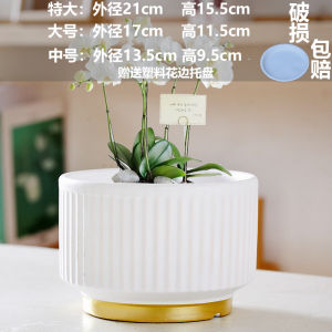 Large Special Ceramic Flower Pot with Tray for Indoor Plants Succulents Spider Plants Simple Style Garden Outdoor Decor