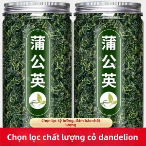 Trà Dandelion Tươi Rừng Cao Cấp