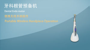 NICEDEN Dental Wireless LED Endo Motor 9 Modes 16:1 Standard Contra Angle Endo Smart Rotary Dentistry Endodontic Instrument for Root Canal Endodontic Treatment