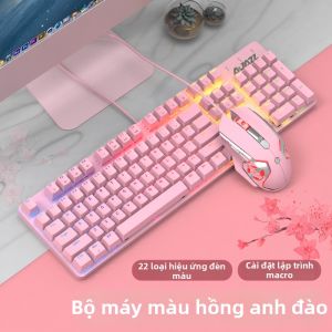 AJAZZ | Bộ Bàn Phím Cơ Chủ Đề Sakura Pink Guardian Có Dây Đèn LED Switches Xanh Đỏ