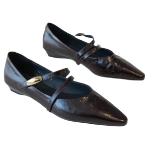 CAIZINI | Leather Mary Jane Shoes with French Retro Style Metal Buckle Pointed Toe Low Heel