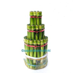 Bambu Hoki / Bambu Rejeki Pagoda Susun 3 Spiral Mahkota Sumur Kipas Satuan / Ecer Tinggi 15 cm