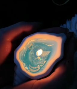 Conch aromatherapy candle atmosphere creative aromatherapy memorial candle party ritual candle