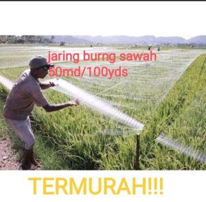Jaring Burung sawah termurah 50md/100yds Jaring padi jaring burung emprit jaring burung pipit jaring burung kecil