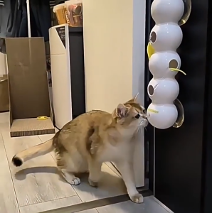 ของเล่นแมวอัตโนมัติ ของเล่นเเมวไฟฟ้า cat toy ไฟฟ้าไม้แมว อัตโนมัติแมว ชาร์จ USB