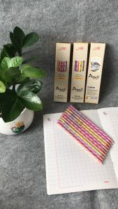 Hộp 10 cây Bút chì gỗ 2B Điểm 10 Thiên Long GP-021