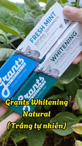 Kem đánh răng thảo dược Tràm Trà Grants 110g - Ngừa viêm nướu ê buốt giúp hơi thở thơm mát