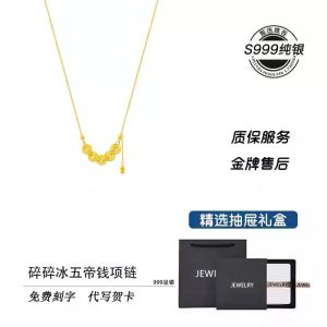 Dây Chuyền Bạc Nguyên Chất 999 Cho Nữ Dây Chuyền Xương Đòn Phong Cách Trung Hoa Mới Quà Tặng Sinh Nhật Phụ Kiện Thời Trang