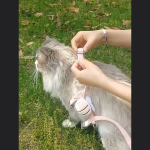 Bộ dây dắt cho Chó Mèo nhỏ kèm yếm ngực hình chú ong dễ thương (mẫu mới) - Hara Pet Store