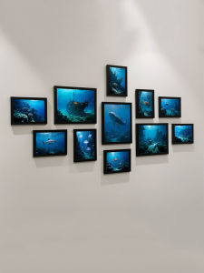 กรอบรูปตกแต่งพื้นหลังสัตว์น้ำทะเล รูปภาพผนัง รูปภาพกรอบรูป ตกแต่งห้องนั่งเล่น โมเดิร์นเรียบง่าย วัสดุโพลีเอสเตอร์ ขนาดใหญ่