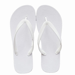 Nữ Thời Trang Sành Điệu Dép Xăng Đan Mùa Hè Ins Thời Trang Dép Đi Biển Chống Trơn Trượt Dép Xỏ Ngón Cặp Đôi Gót Phẳng Thoải Mái PVC Giải Trí