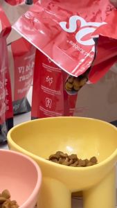 Thức Ăn Hạt Cho Chó Mọi Lứa Tuổi Keos - Dinh Dưỡng Hỗ Trợ Phát Triển Tốt