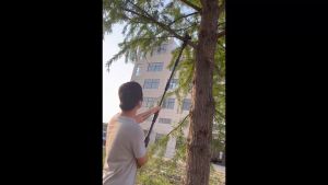 2.25m 88Vf /588VF 8inch High Branch Sawpole saw telescoping pole electric chainsaw 8inch 6inch  Height Adjustable Telescoping Pole Electric Saw Cordless Garden Tree Pruning Tool for Makita 18V Battery