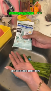 Pembersih Serbaguna/Pembersih Kamar Mandi /Pembersih Serbaguna / Pembersih dapur
