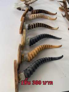 ที่เปิดขวดเขากวางโลว์เดียร์