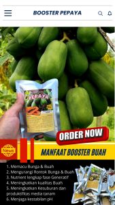 Booster Tanaman Pepaya / Pupuk Booster Hayati Khusus Tanaman Pepaya